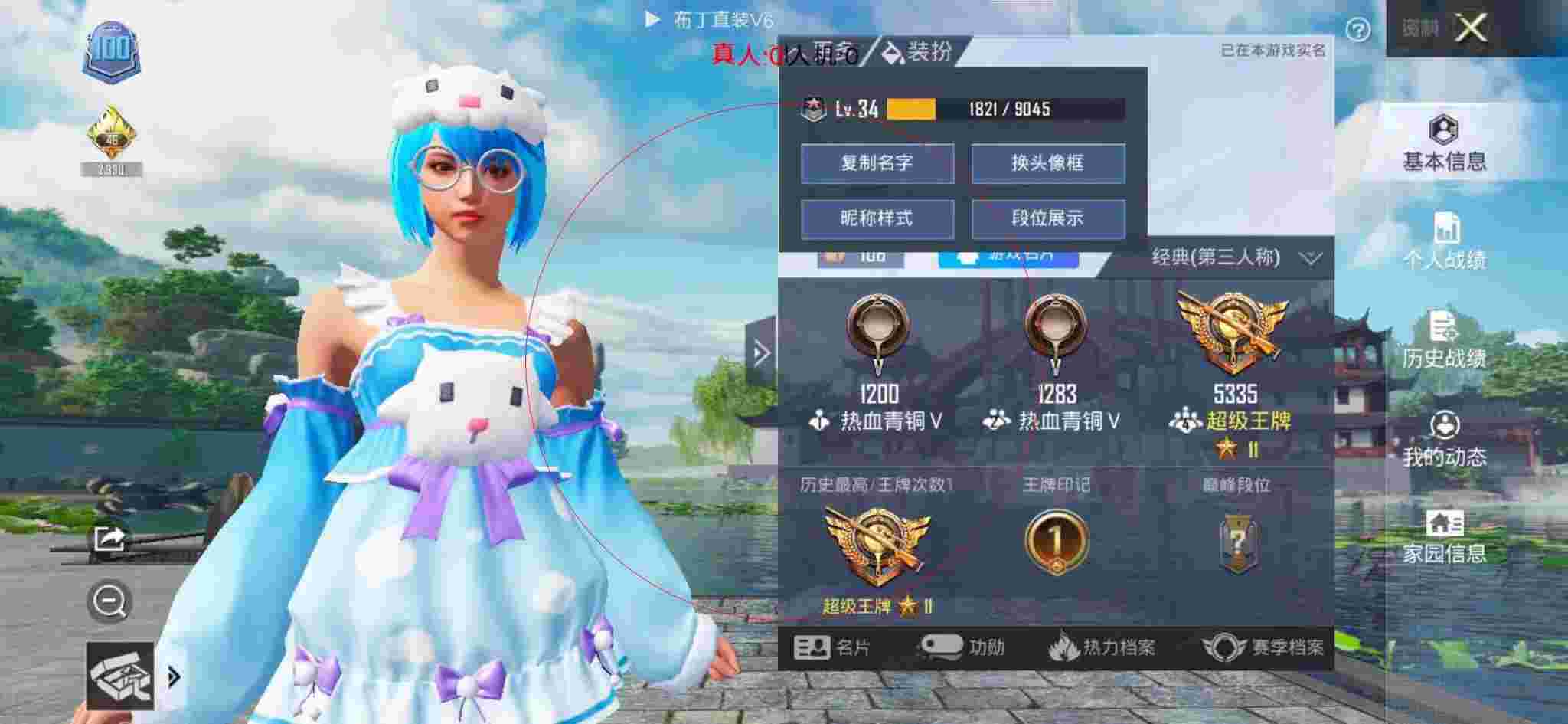 和平精英布丁直装透视 - 和平辅助店卡包装修效果图片大全辅助预览图